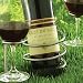 Kitchen & Housewares : Steady Sticks Wine Bottle Holder