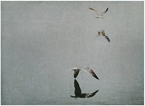 Echoes in Flight - 8x10 Print in presented in an11x14 white mat with the backboard included.The matted photograph is packaged in a protective clear plastic sleeve.