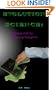 Evolution Science:  Defying God by Defining Religion
