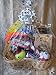 Dog Playtime Dog Gift Basket