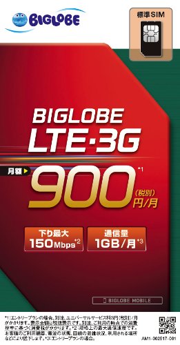 ビッグローブ BIGLOBE LTE・3G 標準SIMカード(Wi-Fiつき)
