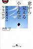 窓から見える小さな空―少年鑑別所の少女の叫び (幻冬舎アウトロー文庫)