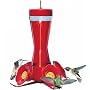 Perky Pet 203CP Pinch Waist Glass Hummingbird Feeder, 8 oz capacity