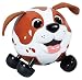 Kid Galaxy Round Hound Spaniel