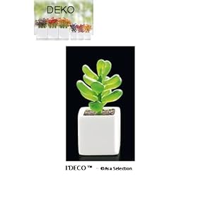 ASA - Succulente artificielle N�VIII - Pot mini 5x5 cm