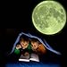 Supertogether Glow in the Dark Bedroom Moon Repositionable Kids Wall Sticker, White
