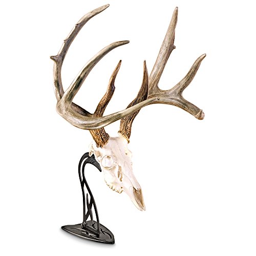 Skull Hooker Table Hooker Antler Mount