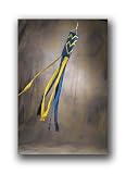 West Virginia Wind Socks (Set of 2)