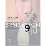Sensation: Young British Artists from the Saatchi Collection (60th Anniversary Edition)