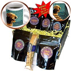 Dogs Airedale - Airedale Terrier - Coffee Gift Baskets - Coffee Gift Basket by 3dRose LLC