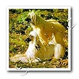 Dogs Afghan - Afghan - Iron on Heat Transfers