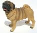PUG Fawn DOG FIGURINE Stands Medium Happy Tongue 5020