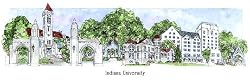 University of Indiana - Collegiate Series - 11.5 x 24 Inch Print