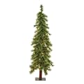 Cashmere Alpine Tree- Green(5')