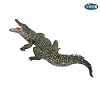 Nile Crocodile