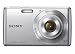 Sony Cyber-shot DSCW620 14.1 MP Digital Camera with 5x Optical Zoom and 2.7-Inch LCD (Silver) (2012 Model)