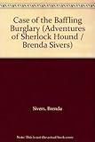 The case of the baffling burglary