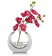 Pink Orchids with Mini Circle Vase