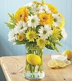 Same Day Flower Delivery 1-800-FLOWERS Make Lemonade in a Vase