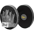 Everlast New Punch Mitts