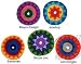 PHD Flying Disk