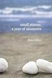 small stones: a year of moments