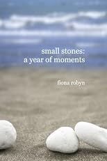 small stones: a year of moments