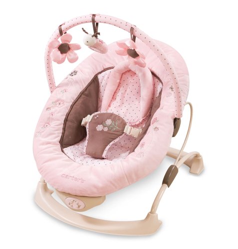 Buy Low Price Cozy Summer Infant Carter’s Love Bug Cuddle Me Bouncer B001N44V02