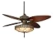 Fanimation Ceiling Fans LB270VZ Bayhill Fan - Filigree Venetian Bronze Indoor Fan 56" Blade Span