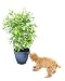 Baby : VIVA! Plant Protector Net- Prevents children & pets from digging in & eating the soil of potted plants. Longlasting & Non-Toxic. Fits any shape pot. Never needs to be removed. Lets water in but keeps small paws out! Comes in 3 sizes. SIZE SMALL