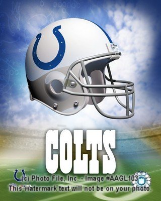 Indianapolis Colts Logo 8x10 Color Photo