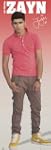 Empire 539021 One Direction - Zayn 1D...