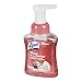 Lysol Touch of Foam Foaming Hand Soap, Rose and Cherry In Bloom, Pump, 8.5 Ounce