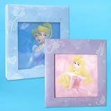 Cinderella Holograph Photo Album