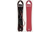 09 BURTON 【バートン】 NO FISH 155cm