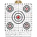 Paper Scoring Targets 24 Count