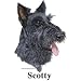 Scottish Terrier Cordial - Shot Glass