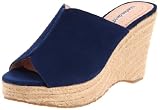 Charles David Women’s Blast Wedge Sandal,Navy,7 M US