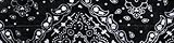 UPC 642608001524 product image for ZANheadgear Cooldanna Paisley 100 Percentage Cotton Head and Neck Tie (Black) | upcitemdb.com
