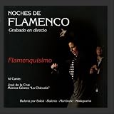Noches de Flamenco - Flamenquisimo [CD on Demand]