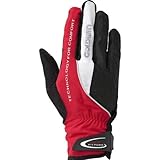 GOLDWIN�ʥ�����ɥ������ ���ߥåȥ����󥿡��������� GWB-480��2010-2011ǯ���ߥ�ǥ�