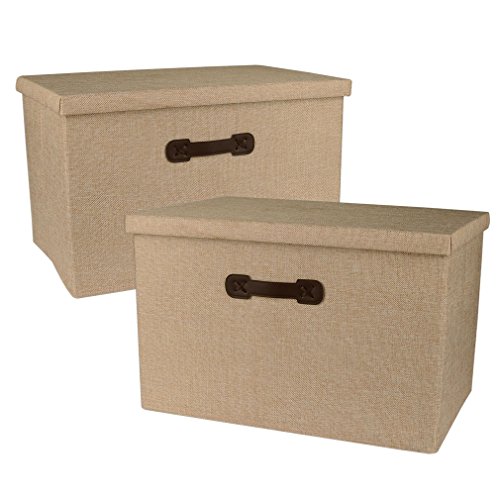 Nicely Neat Shelf Storage Folding Organizer Bin