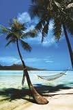 Tropical Beach Ocean Hammock Poster Palm New 2 Art 4159