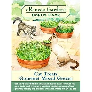 Cat Treats Gourmet Mixed Greens Large Packet by 