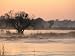Early Morning Mist Rises off the Zambezi River, Zambezi National Park, Matabeleland North, Zimbabwe Photographic Poster Print by Ariadne Van Zandbergen, 40x30