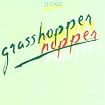 Grasshopper