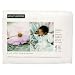 Nature Babycare Eco-Friendly Diapers - 4pk. (Size 1)