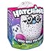 Hatchimals - Hatching Egg - Interactive Creature - Bearakeet - Pink/Black Egg - Target Exclusive by Spin Master