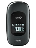 Sanyo Vero Phone, Silver