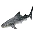 Schleich Whale Shark